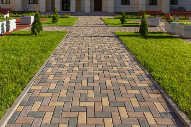 Best Custom Driveway Pavers  in Jourdanton, TX
